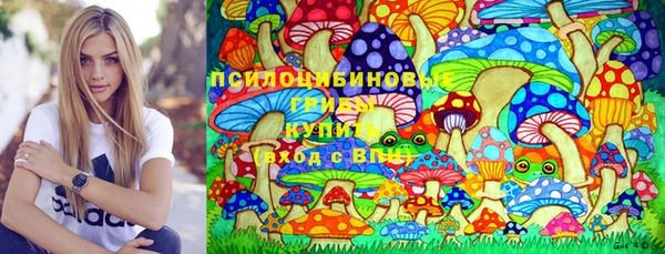 амф Алексеевка