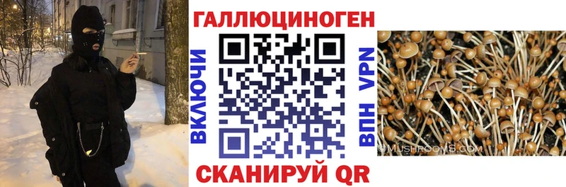 Галлюциногенные грибы прущие грибы  Домодедово 